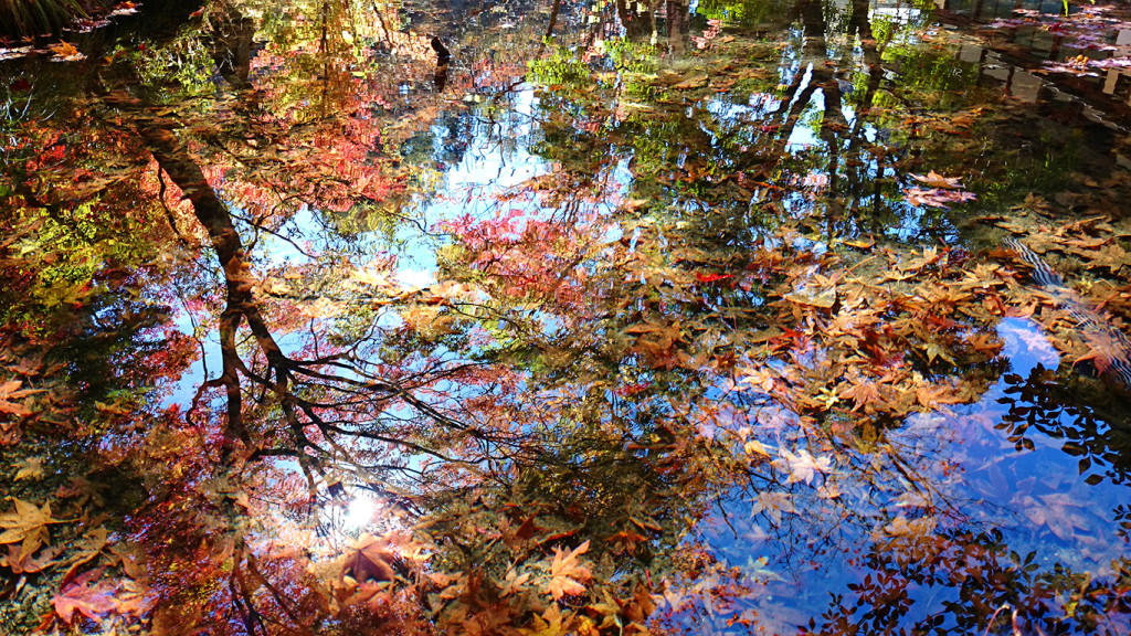 霊松寺、光と水と紅葉のコラボ１