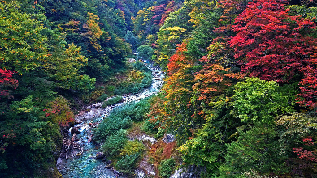 高瀬渓谷の紅葉