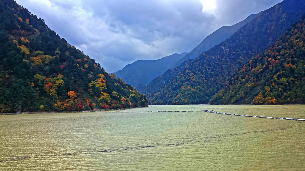 高瀬ダムのダム湖と紅葉