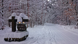 喫茶ガルニ前から雪の降る有明山通りを。