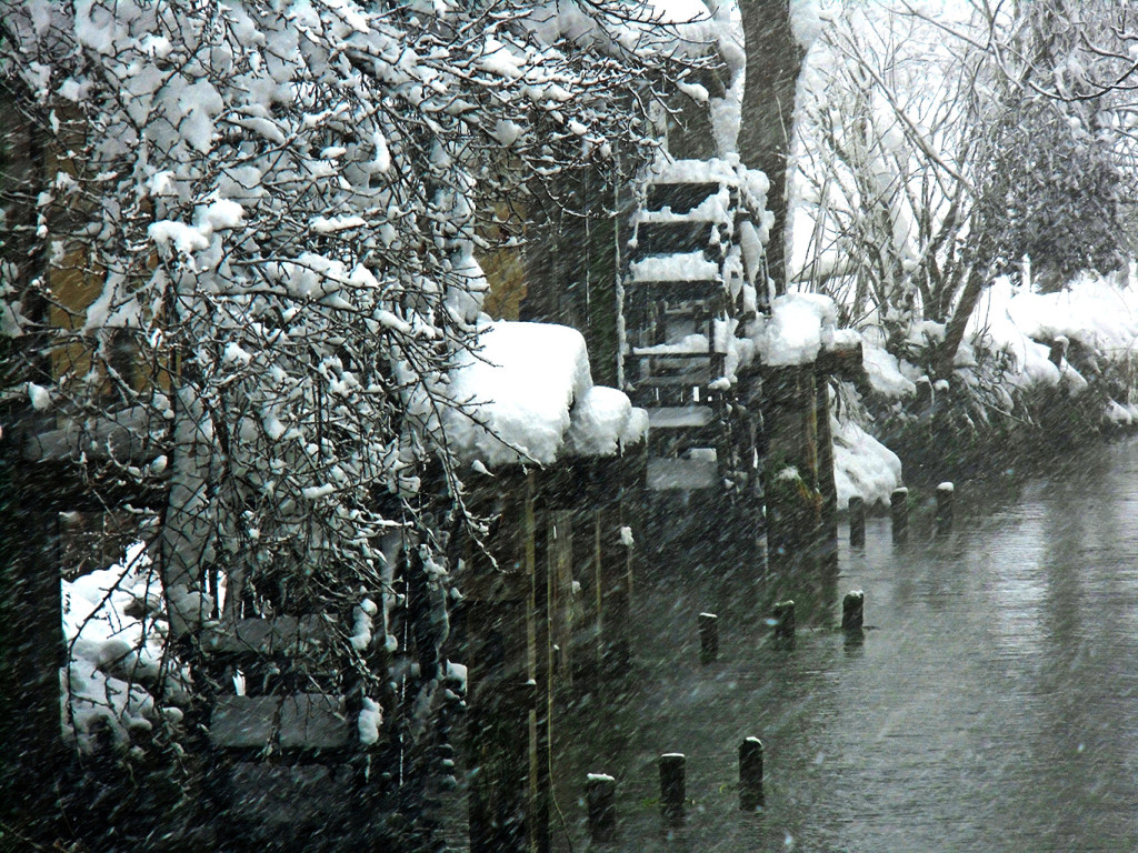 雪の大王わさび農場の水車小屋