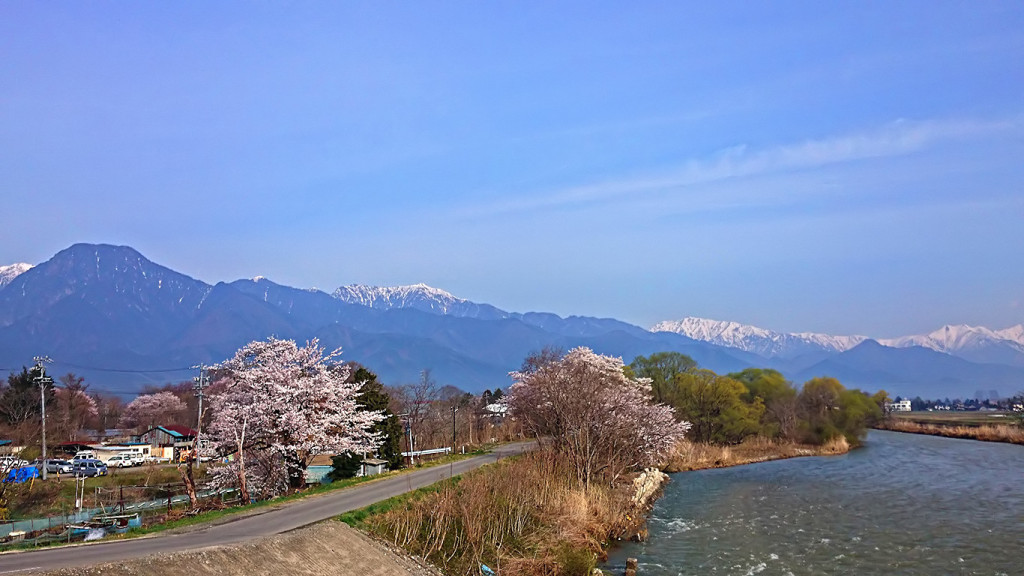 桜と柳の新緑に彩られた穂高川とアルプス
