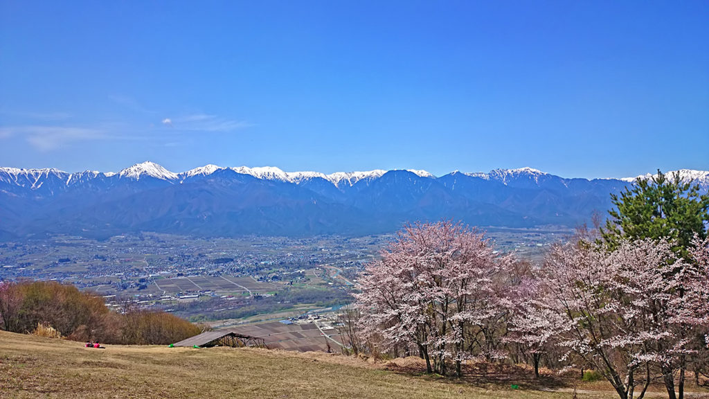 桜咲く長峰山