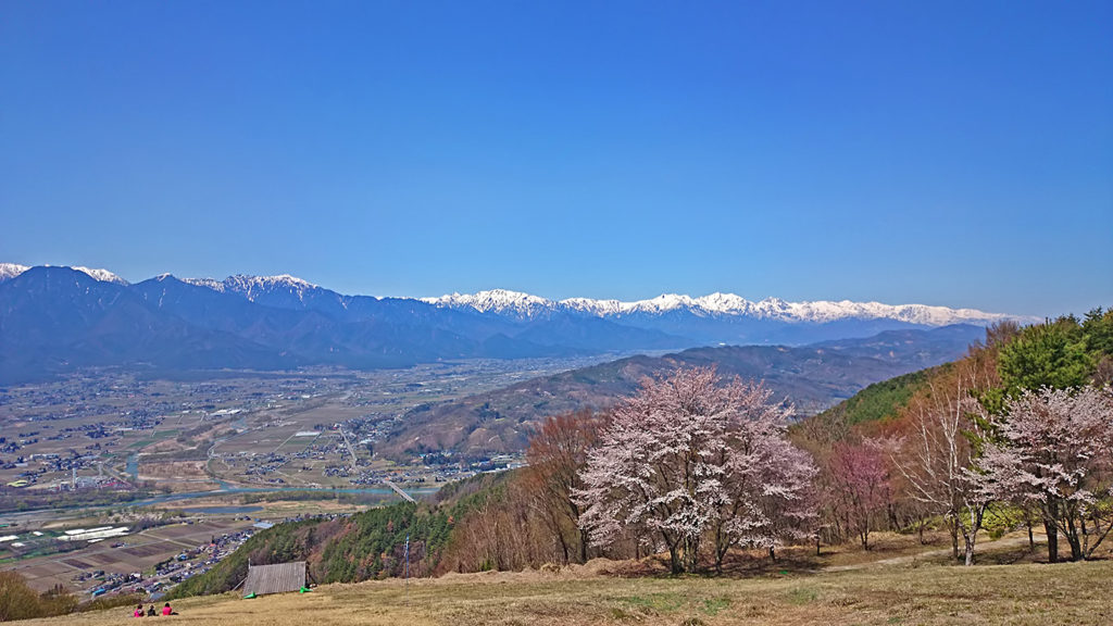 桜咲く長峰山