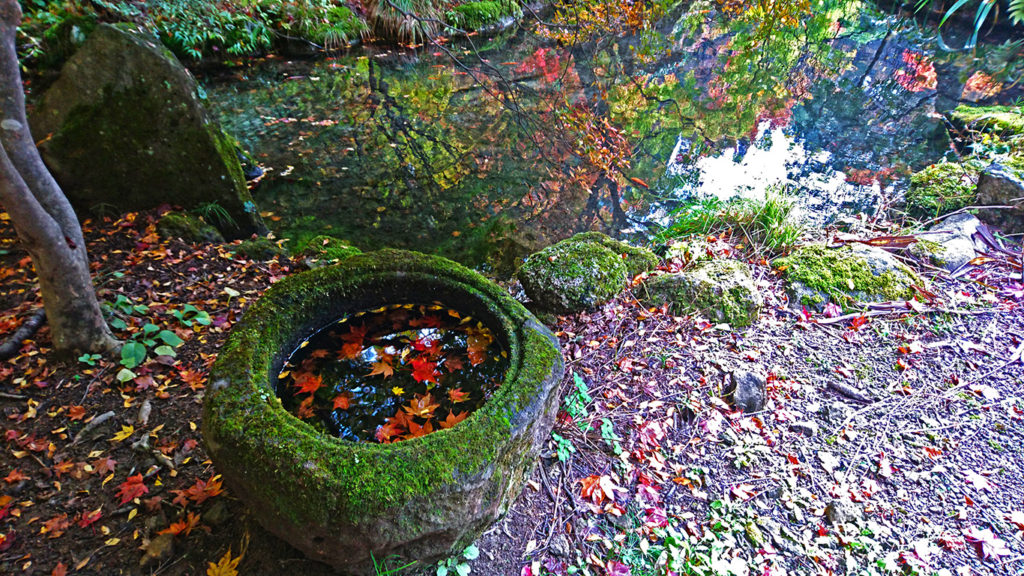 つくばいと池の水への紅葉の映り込み