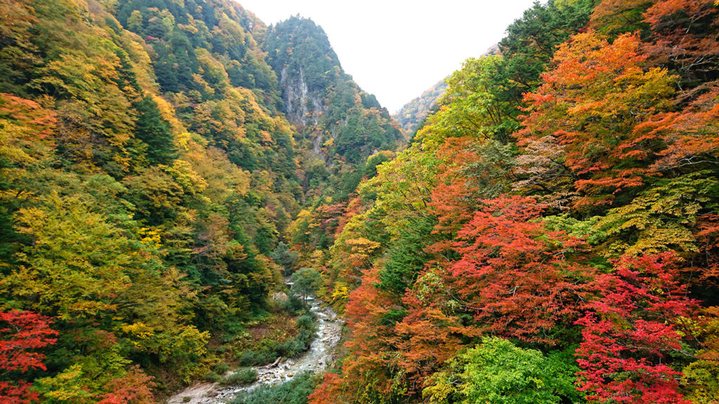 高瀬渓谷の紅葉１