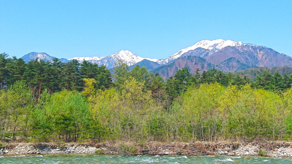 高瀬川の新緑と雪を被った山