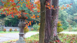 有明山神社の石灯篭と紅葉
