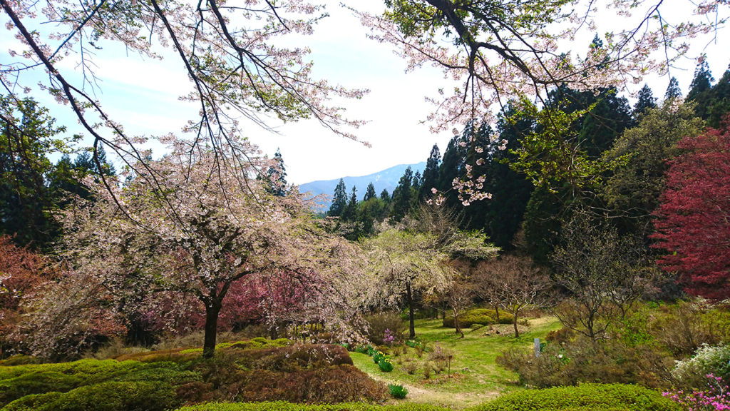 満願寺の庭