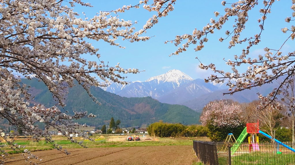 常念岳と桜と遊具