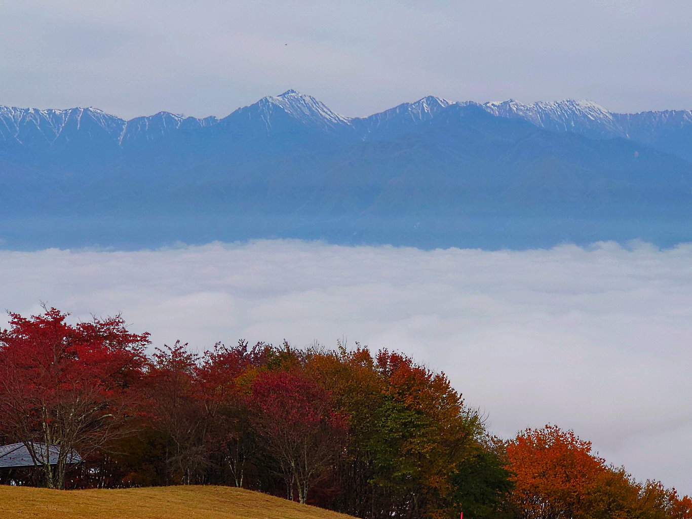 長峰山からの雲海3