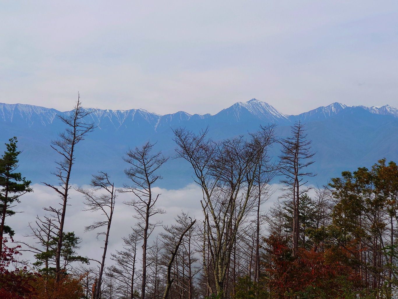 長峰山からの雲海4