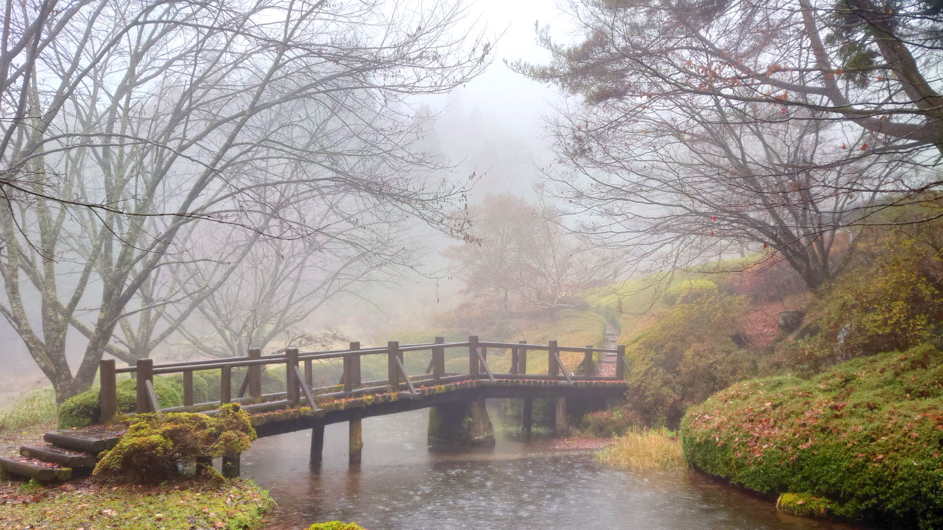 満願寺の庭の橋