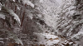 中房川の雪景色