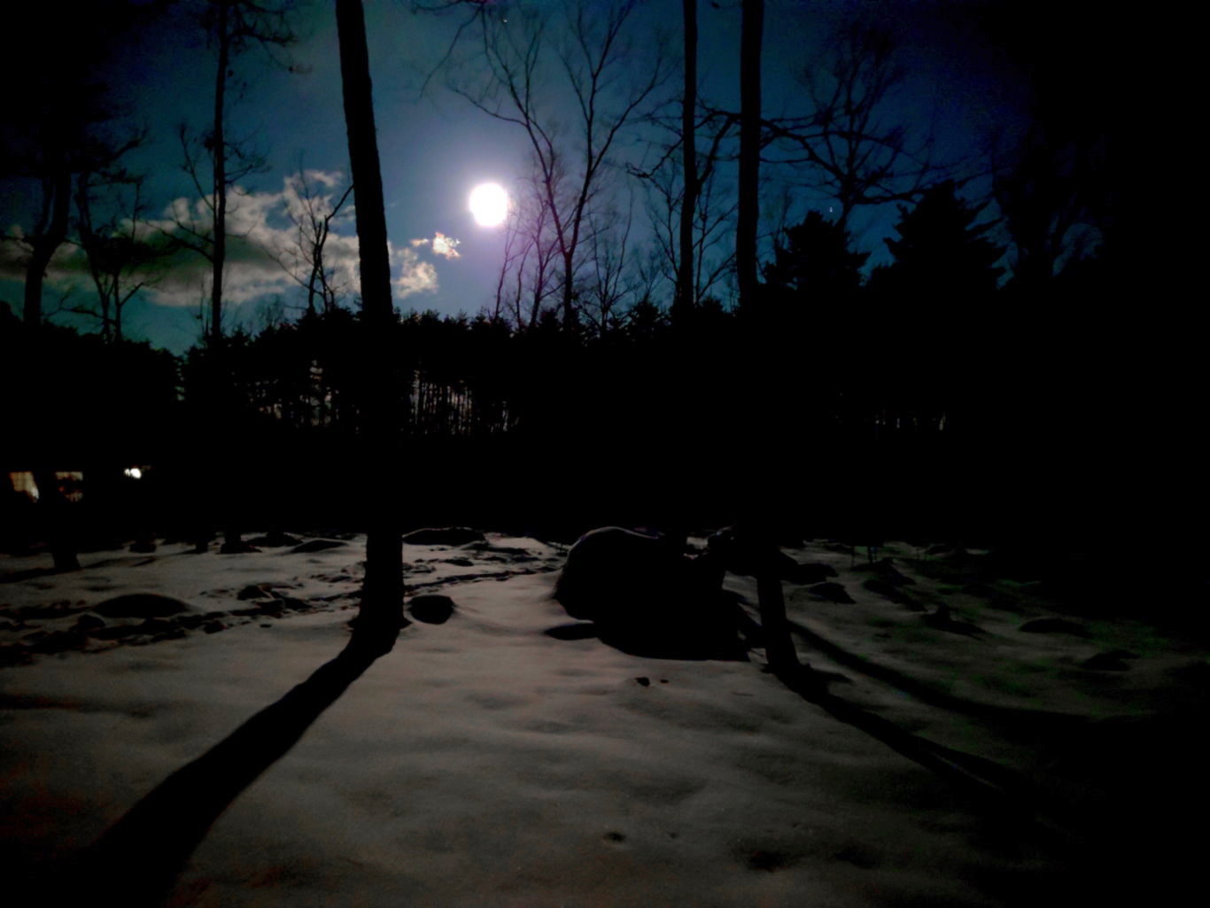 月明りに照らされる雪面