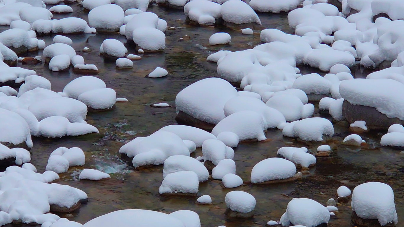 高瀬川の石の上の雪