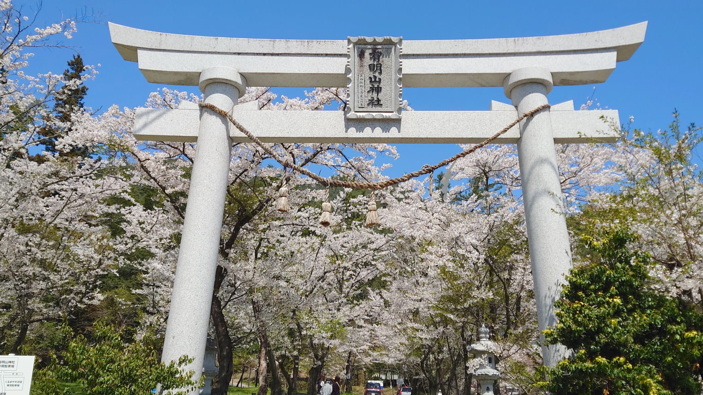 桜と有明山神社の鳥居