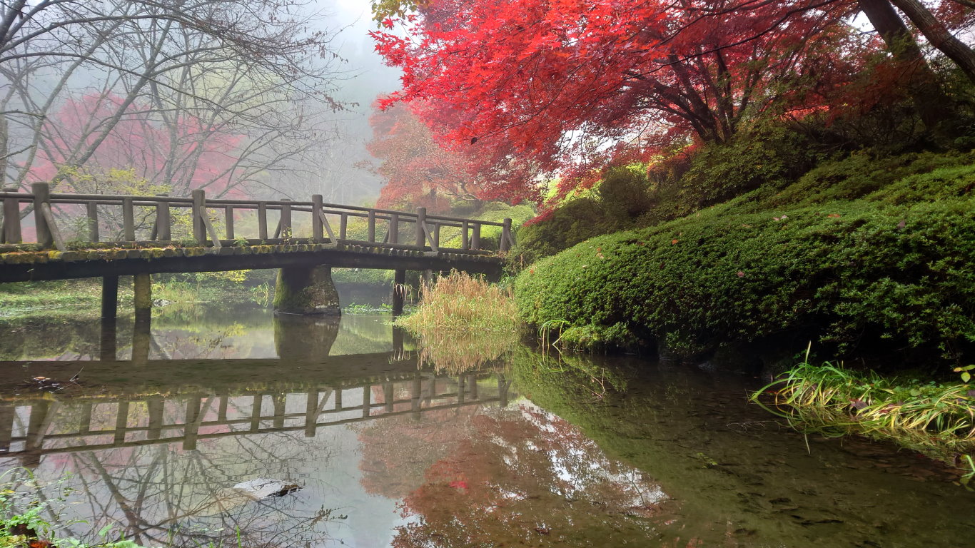 満願寺の橋と紅葉