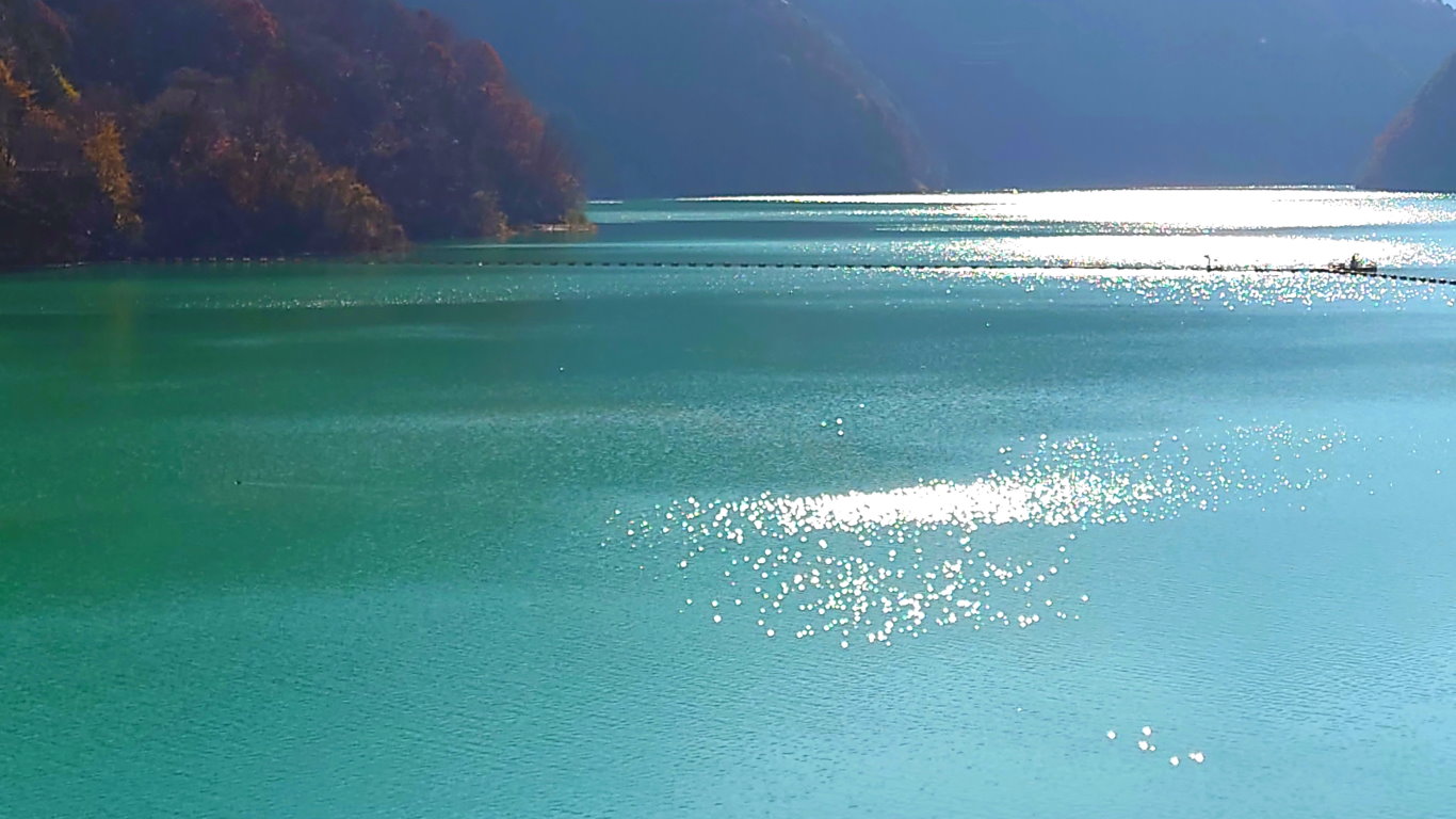 龍神湖の煌めく水面