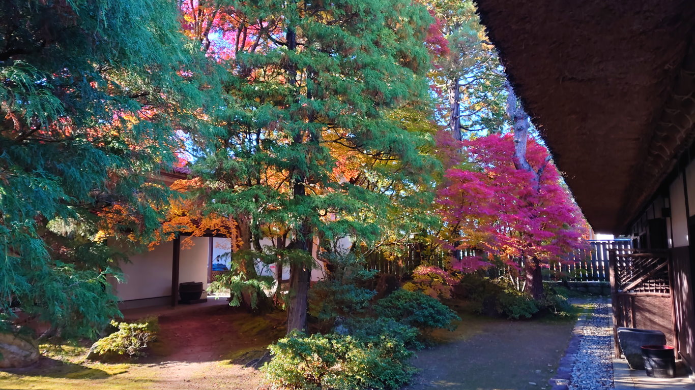 高橋節郎記念美術館の庭の紅葉